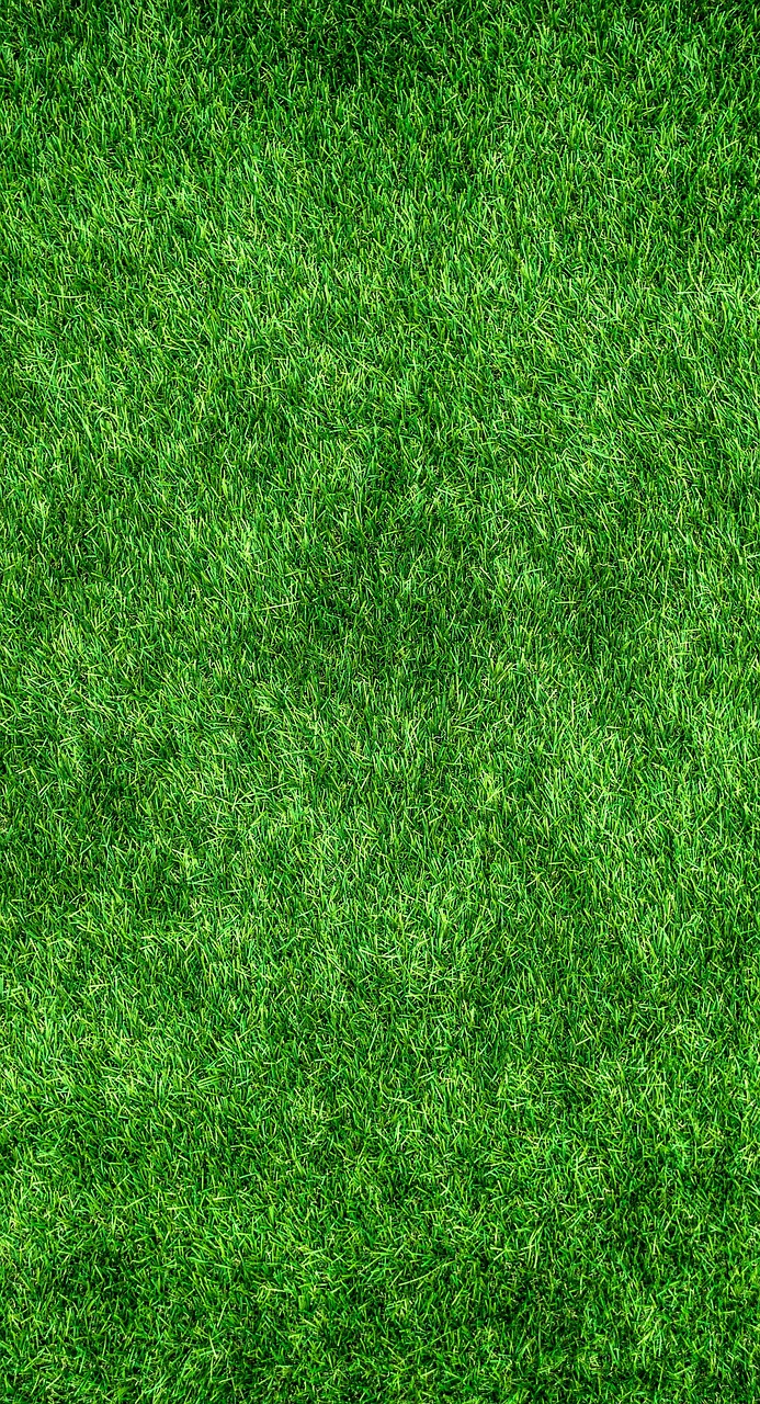 eco technology holding company green